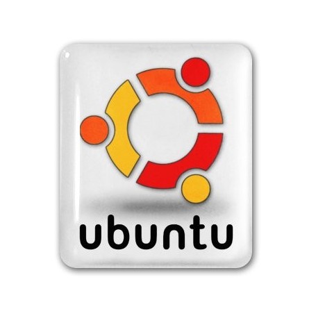 Linux Ubuntu® 20.04 64bits  + installation