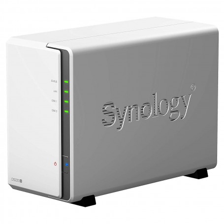 Serveur NAS Synology DS220J 2 baies